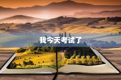 我今天考试了 我今天考试了