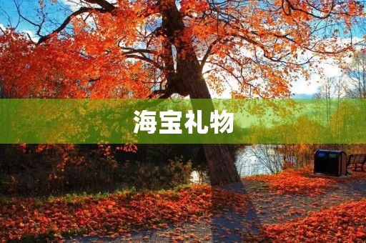 海宝礼物 海宝礼物