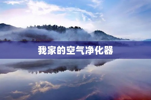 我家的空气净化器 我家的空气净化器