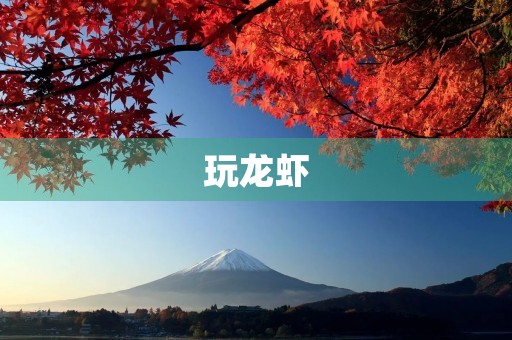 玩龙虾