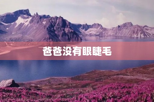 爸爸没有眼睫毛 爸爸没有眼睫毛