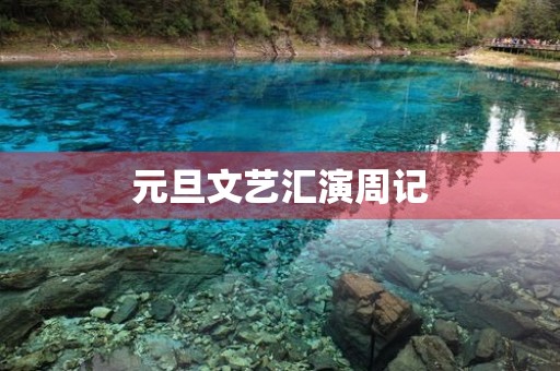 元旦文艺汇演周记 元旦文艺汇演周记