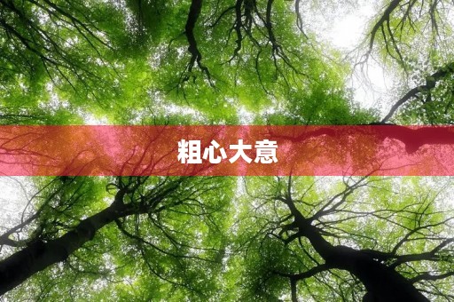 粗心大意 粗心大意