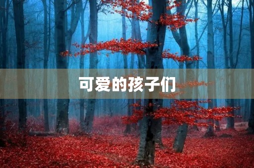 可爱的孩子们 可爱的孩子们