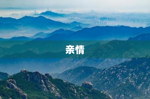 亲情 亲情