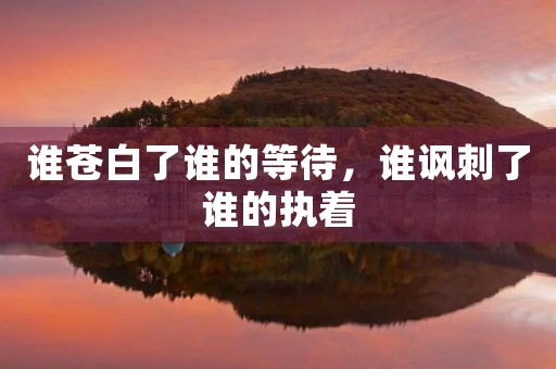 谁苍白了谁的等待，谁讽刺了谁的执着