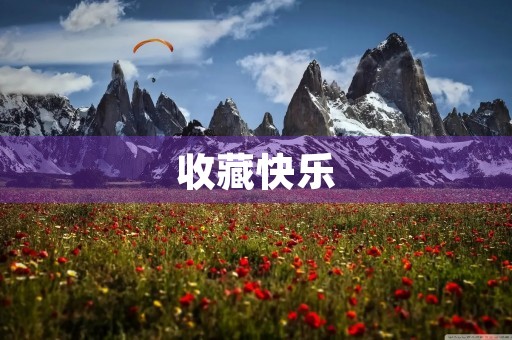 收藏快乐 收藏快乐