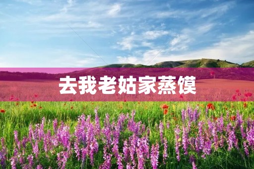 去我老姑家蒸馍 去我老姑家蒸馍