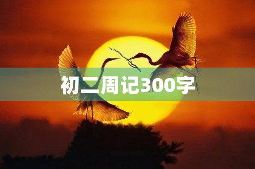 初二周记300字