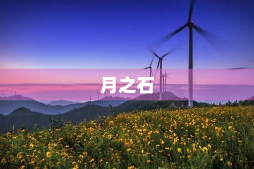 月之石 月之石