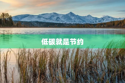 低碳就是节约 低碳就是节约