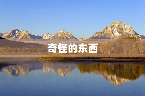 奇怪的东西 奇怪的东西