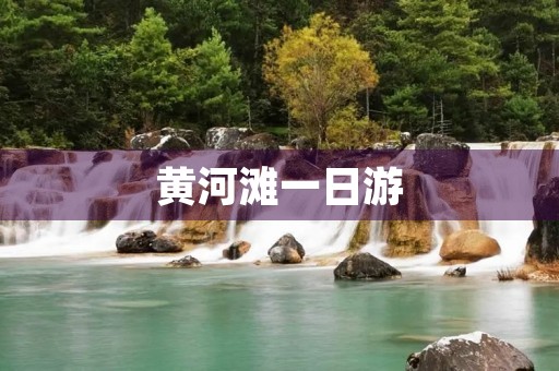 黄河滩一日游 黄河滩一日游