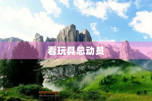 看玩具总动员