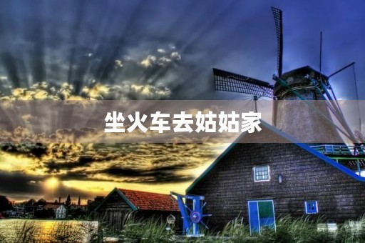 坐火车去姑姑家 坐火车去姑姑家