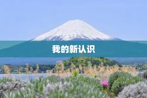 我的新认识 我的新认识
