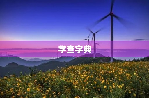 学查字典 学查字典