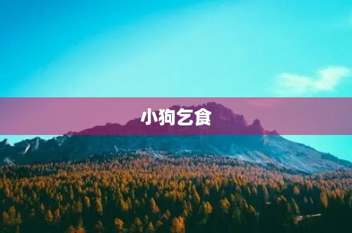 小狗乞食