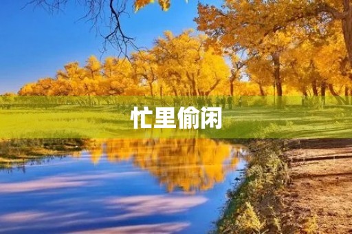 忙里偷闲 忙里偷闲