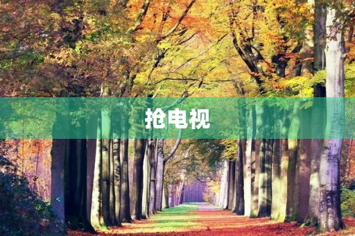 抢电视 抢电视