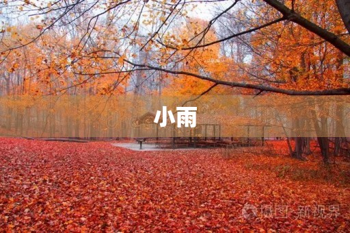 小雨 小雨