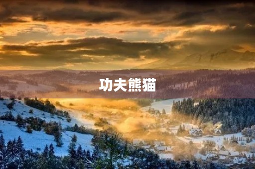 功夫熊猫 功夫熊猫