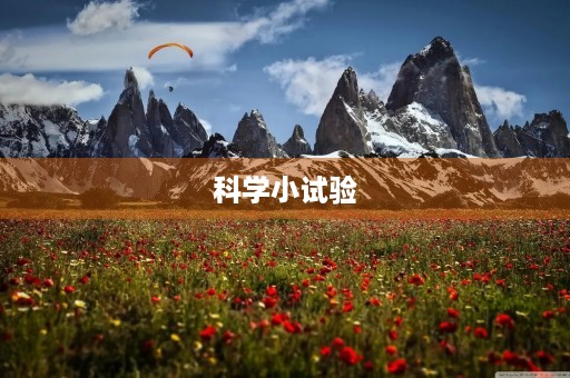 科学小试验