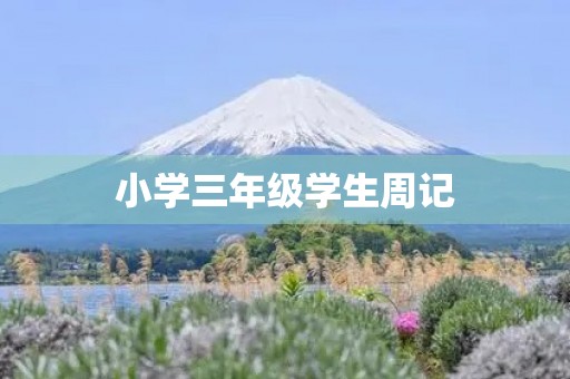小学三年级学生周记 小学三年级学生周记