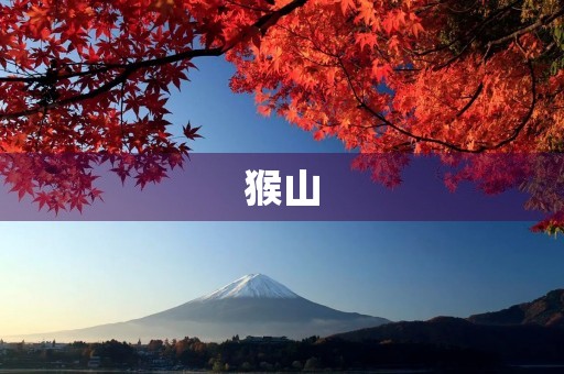 猴山 猴山