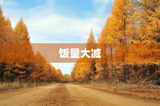 饭量大减 饭量大减