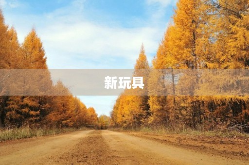 新玩具 新玩具