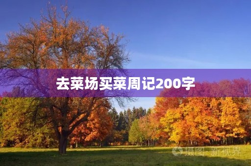 去菜场买菜周记200字