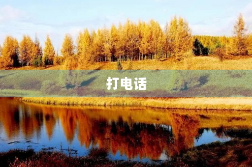 打电话 打电话