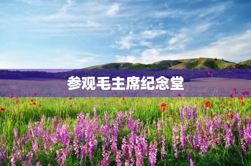 参观毛主席纪念堂 参观毛主席纪念堂