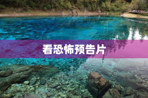 看恐怖预告片