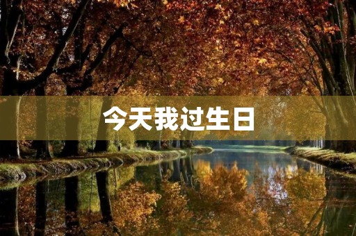 今天我过生日 今天我过生日