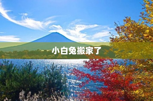 小白兔搬家了 小白兔搬家了