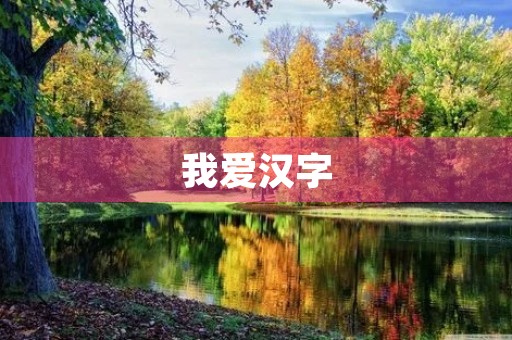 我爱汉字 我爱汉字