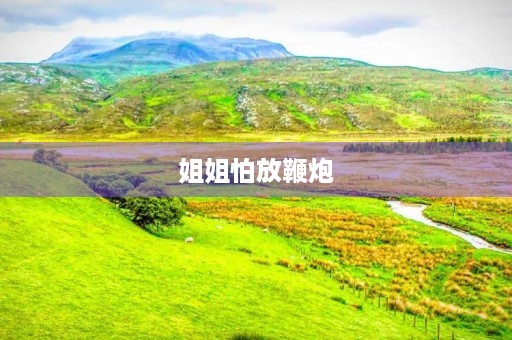 姐姐怕放鞭炮 姐姐怕放鞭炮