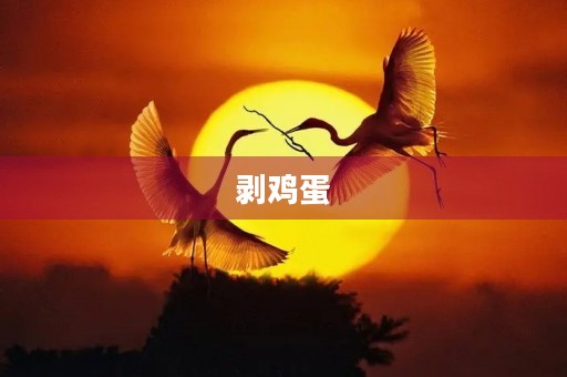 剥鸡蛋 剥鸡蛋