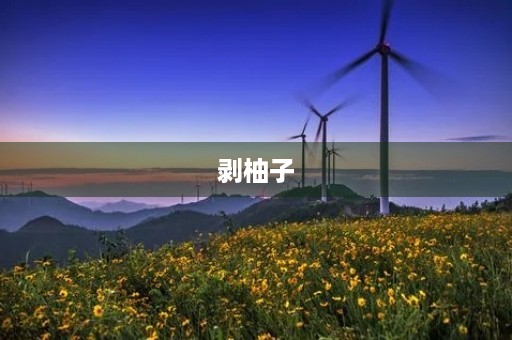 剥柚子 剥柚子