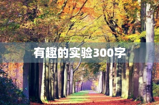 有趣的实验300字