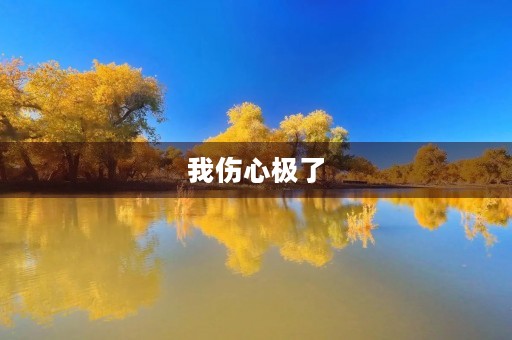 我伤心极了 我伤心极了