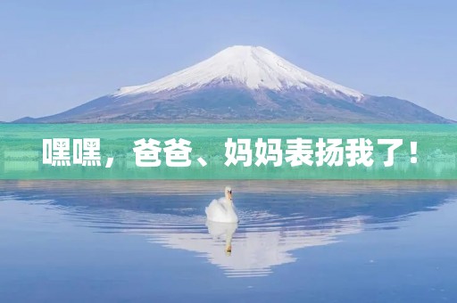 嘿嘿,爸爸、妈妈表扬我了! 嘿嘿,爸爸、妈妈表扬我了!