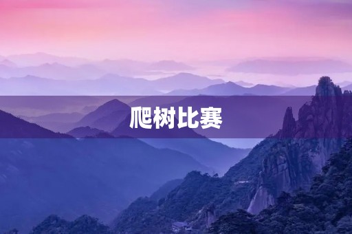 爬树比赛 爬树比赛