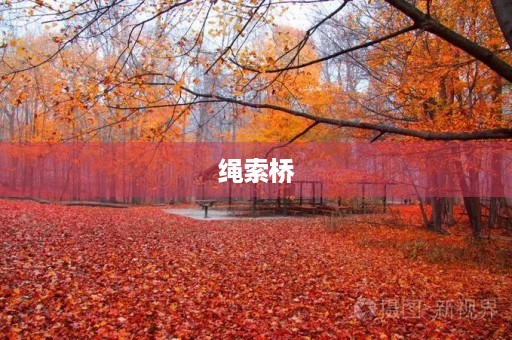绳索桥 绳索桥