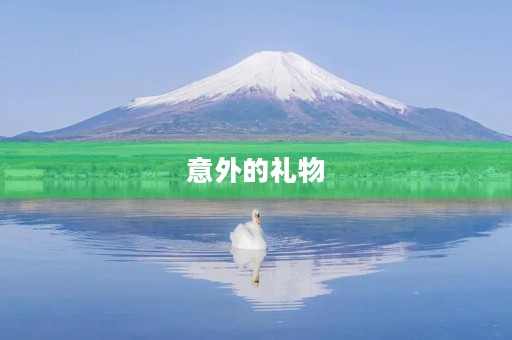 意外的礼物