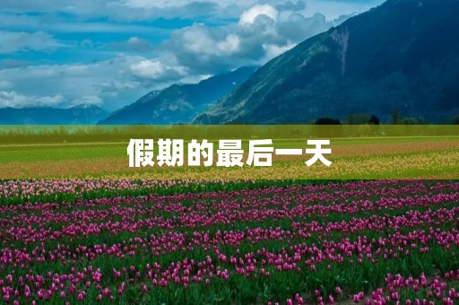 假期的最后一天