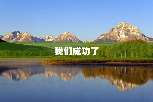 我们成功了 我们成功了