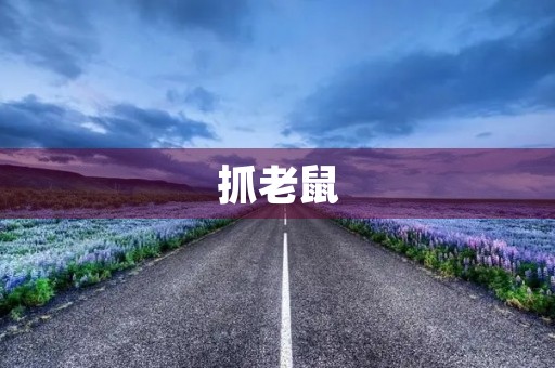 抓老鼠 抓老鼠